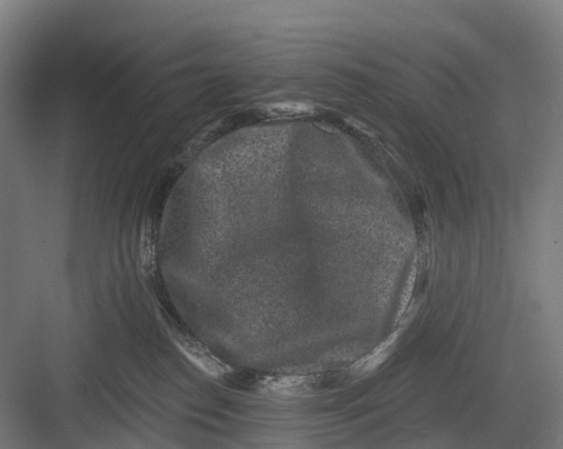 X0000082680186200702161708