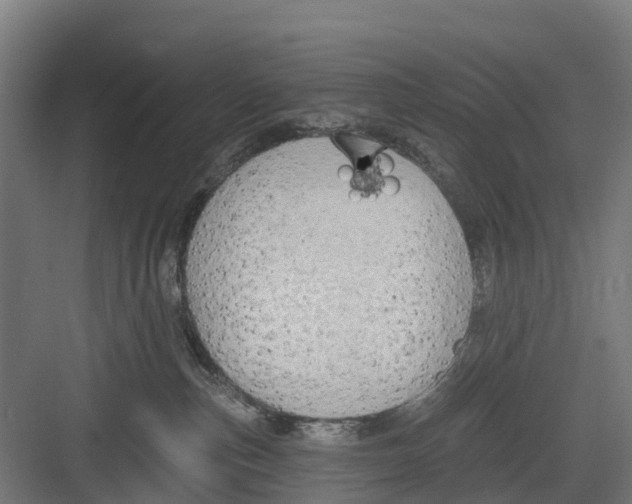 X0000082680187200702161708