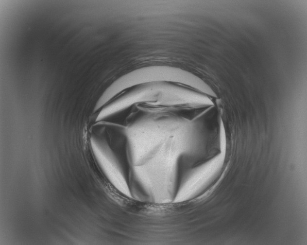 X0000082680190200702161708