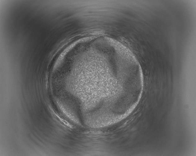 X0000082680194200702161707