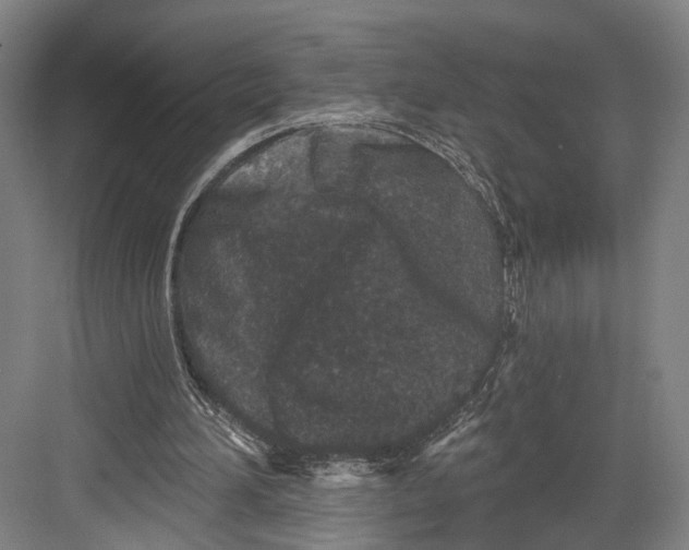 X0000082680196200702161707