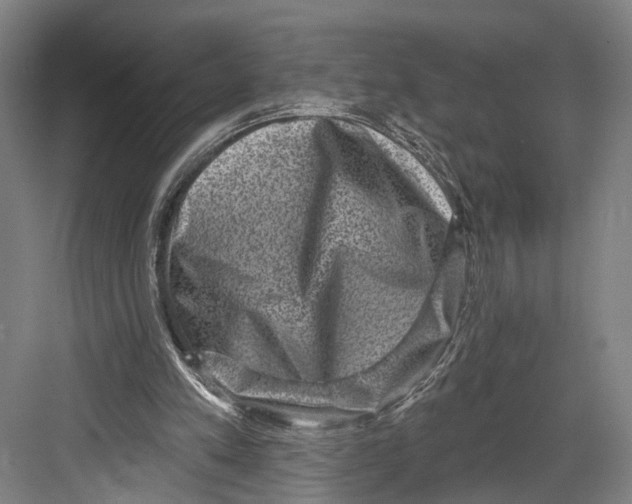 X0000082680197200702161707