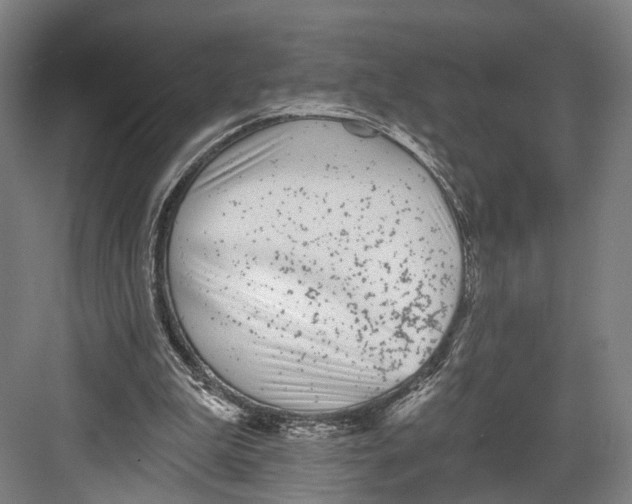 X0000082680199200702161707