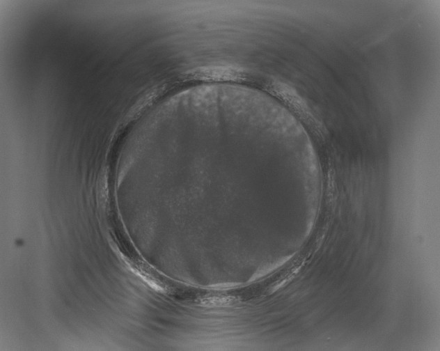 X0000082680202200702161707