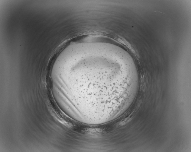 X0000082680203200702161707