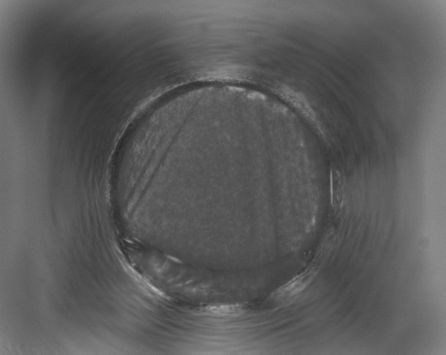 X0000082680204200702161707