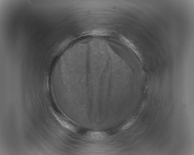 X0000082680205200702161707