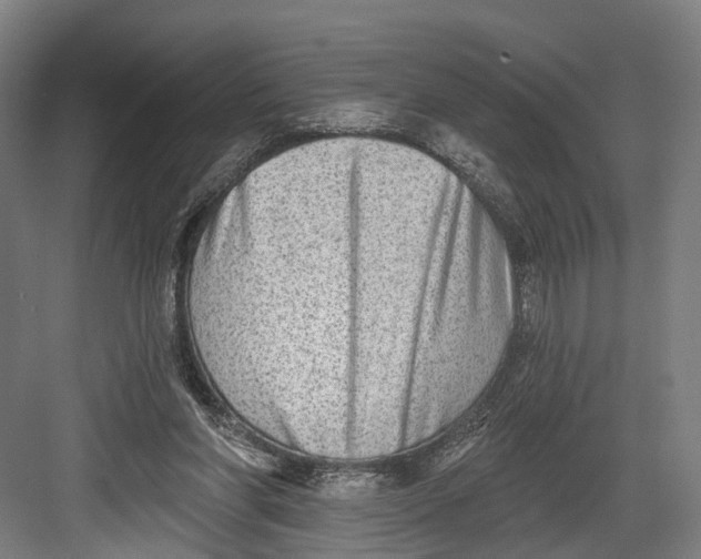 X0000082680206200702161707