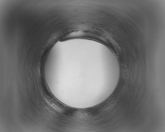 X0000082680207200702161707