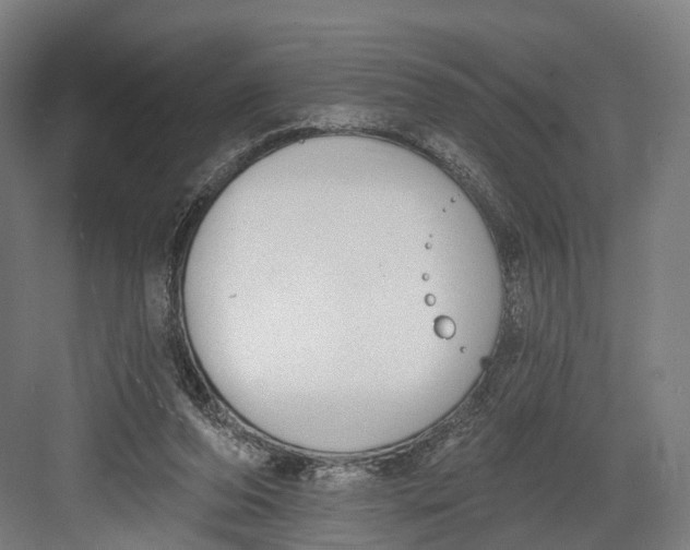 X0000082680208200702161707