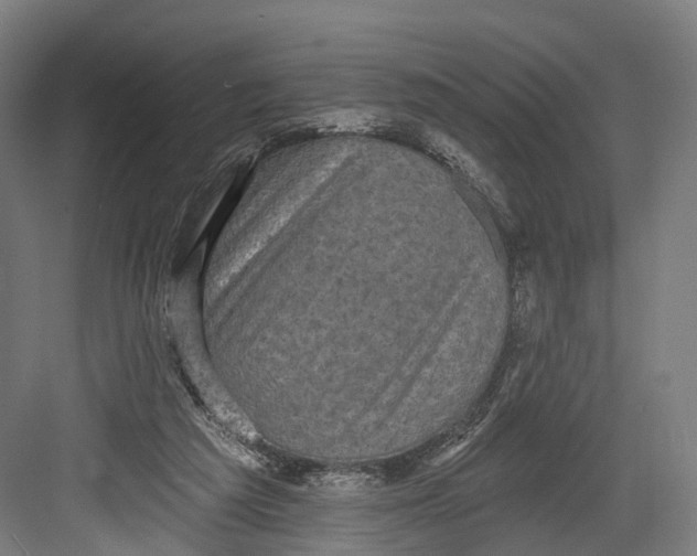 X0000082680209200702161707