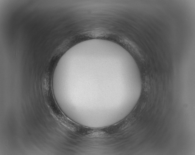 X0000082680210200702161707