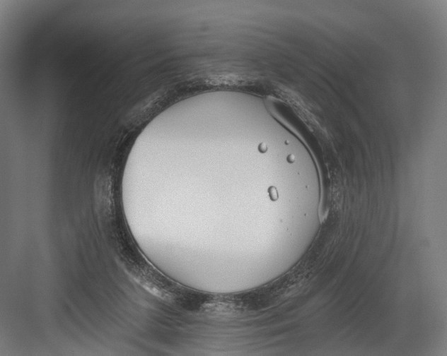 X0000082680211200702161707