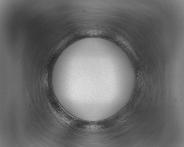 X0000082680212200702161707