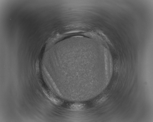 X0000082680213200702161707