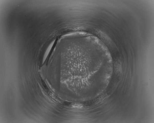 X0000082680214200702161707