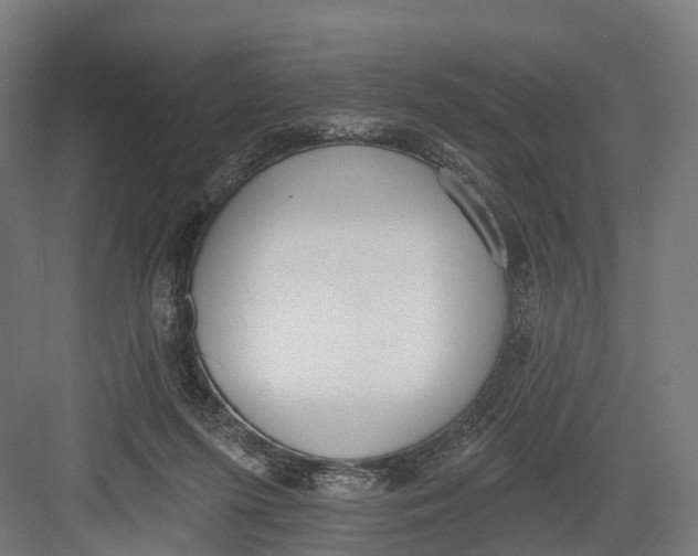 X0000082680215200702161707