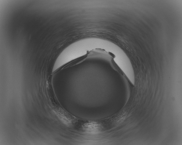 X0000082680219200702161706