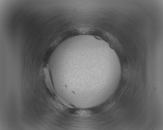 X0000082680221200702161706