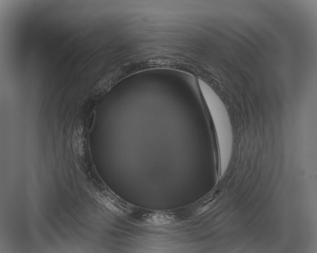 X0000082680223200702161706