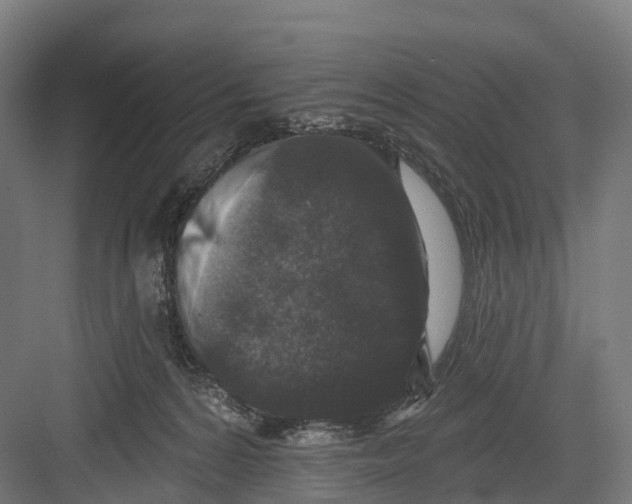 X0000082680224200702161706