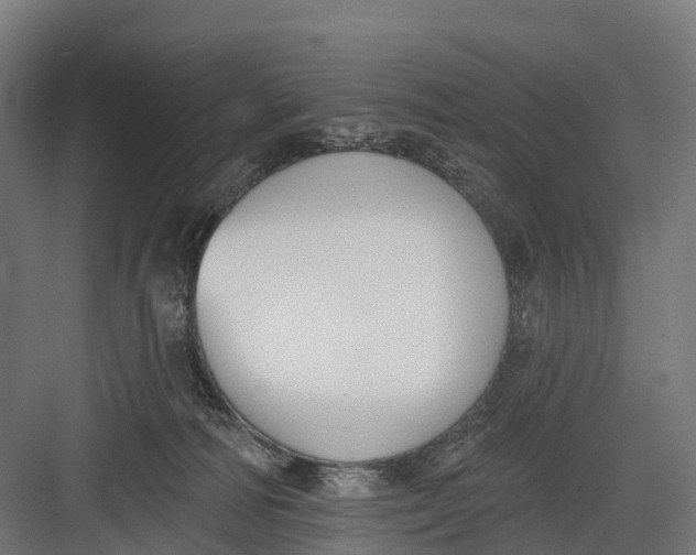 X0000082680226200702161706