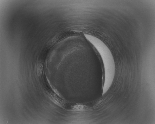 X0000082680227200702161706