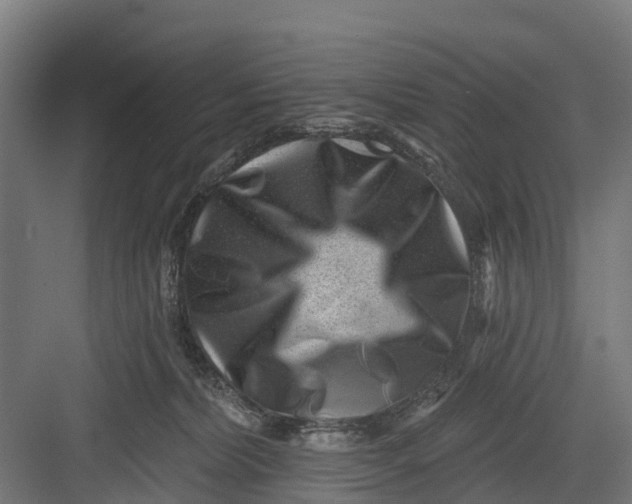 X0000082680228200702161706