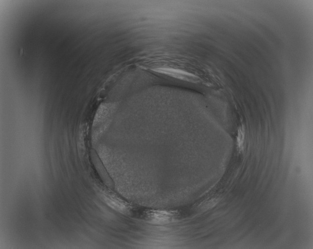 X0000082680229200702161706