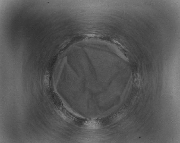 X0000082680231200702161706