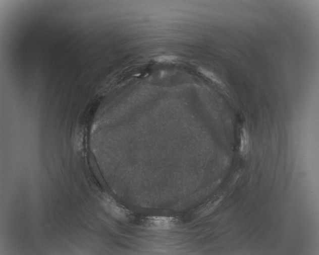 X0000082680233200702161706