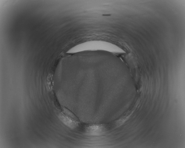 X0000082680237200702161706