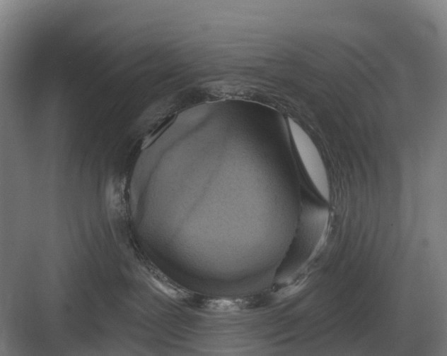 X0000082680239200702161706