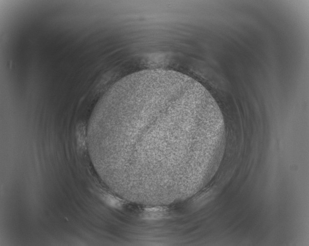 X0000082680240200702161706