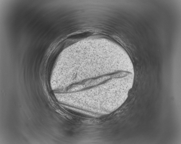 X0000082680241200702161705