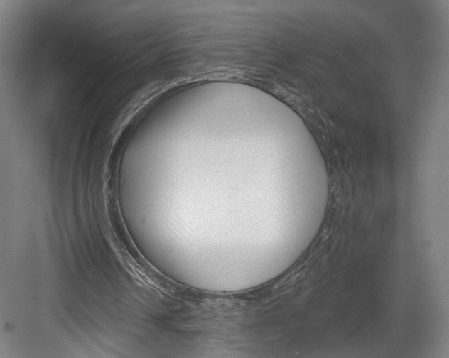 X0000082680242200702161705