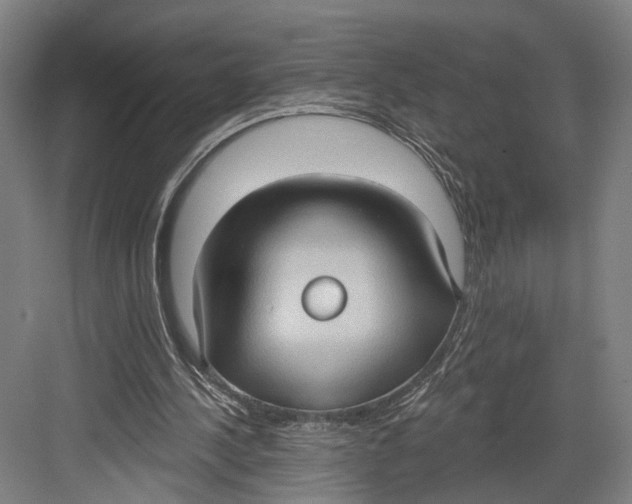 X0000082680244200702161705