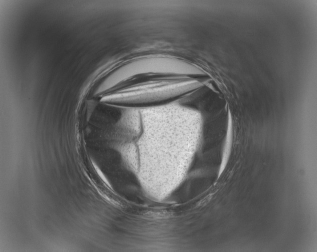 X0000082680245200702161705