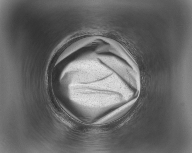 X0000082680246200702161705