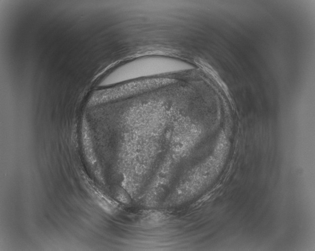 X0000082680249200702161705