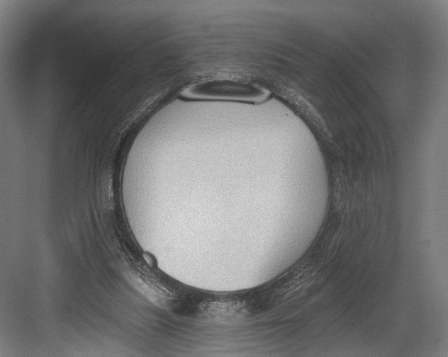 X0000082680251200702161705