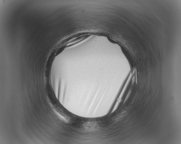 X0000082680252200702161705