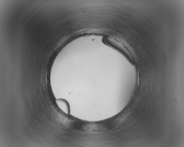 X0000082680253200702161706