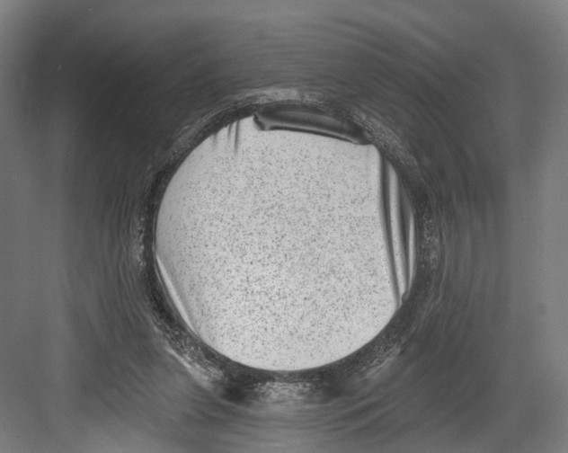 X0000082680255200702161706