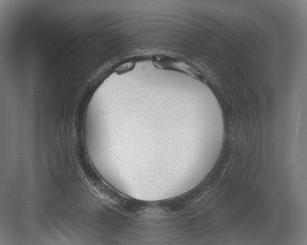 X0000082680256200702161706