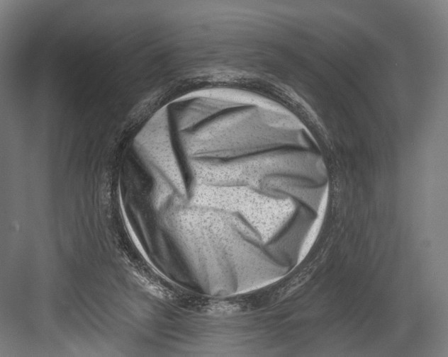 X0000082680257200702161706