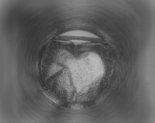 X0000082680258200702161706