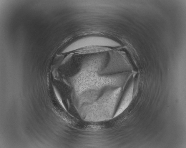 X0000082680260200702161706