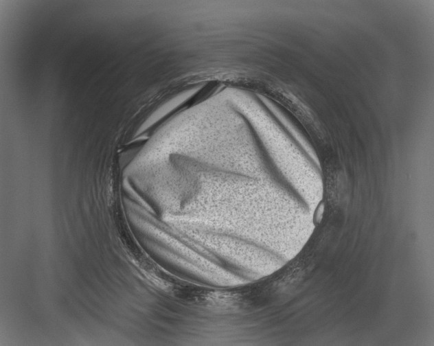 X0000082680261200702161706