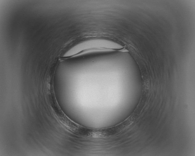 X0000082680264200702161706